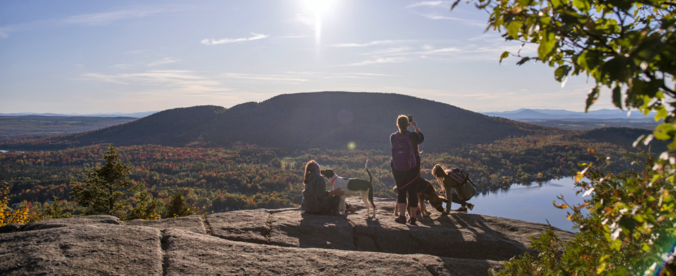 15 endroits où faire du plein air avec votre chien au Québec