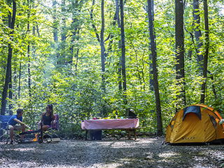 Camping du parc national d'Oka