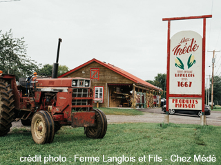Ferme Langlois et Fils - Chez Médé - ÉCONOMUSÉE du maraîcher : maïs sucré de Neuville