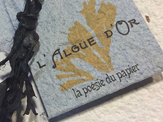 L'Algue D'Or - Bas-Saint-Laurent
