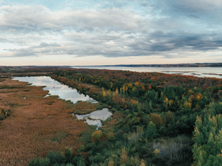 Réserve Naturelle du Marais Léon-Provencher - Québec