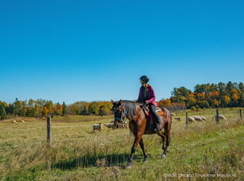 Cavalière et son cheval qui regardent le paysage au Baluchon Éco-villégiature.