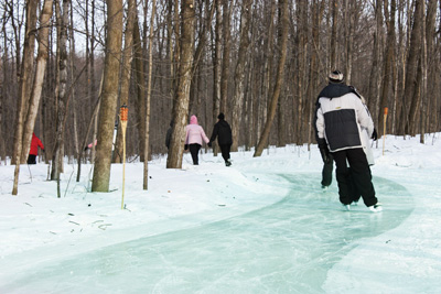 Le Parc régional Bois de Belle-Rivière : pour renouer avec l’hiver