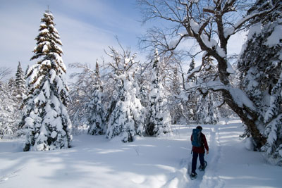 Planifier une aventure en nature à son image cet hiver