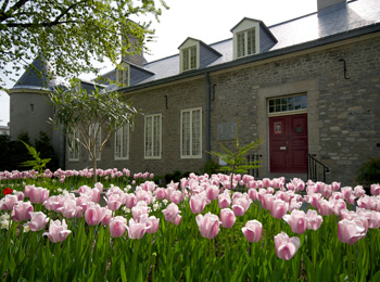 Extérieur d’un musée aux murs en pierre; autour, le sol est couvert de tulipes.