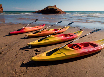Quatre kayaks alignés sur une plage, avec un vaste plan d’eau à l’horizon.