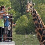 Animaux, parc aquatique et Pavillon Découvertes au Parc Safari!