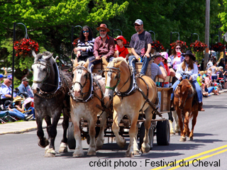 Festival du Cheval de Princeville - Centre-du-Québec