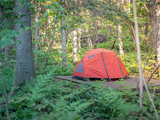 Camping Parc de la rivière Mitis - Gaspésie
