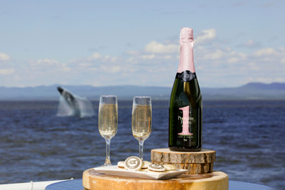 Passeport Croisière aux baleines VIP dans le Lounge St-Laurent