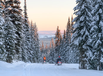 Motoneigistes dans un paysage d'hiver au Québec