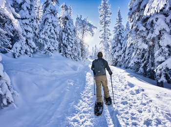 Promenade en raquettes dans le paysage hivernal de la vallée des fantômes au parc national des Monts-Valin