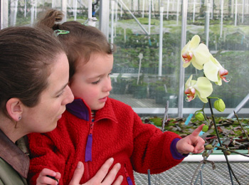 Une mère et sa fille en train de regarder une orchidée.
