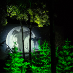 Anima Lumina illumine le Zoo sauvage de St-Félicien